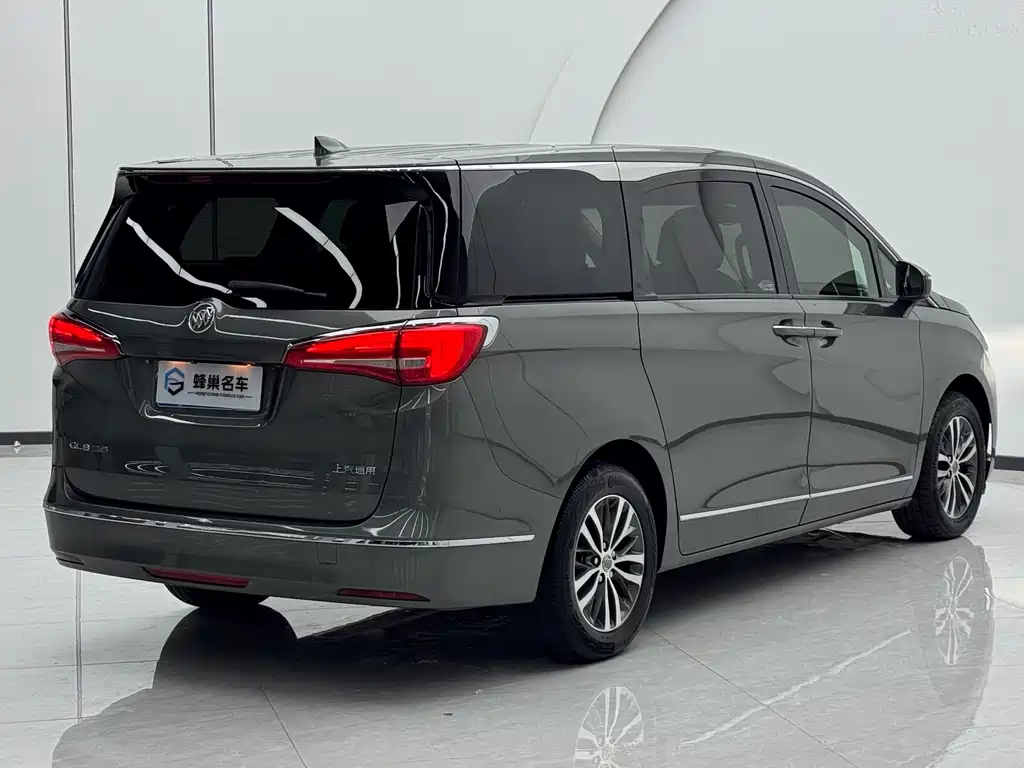 Buick GL8 — миниатюра 16
