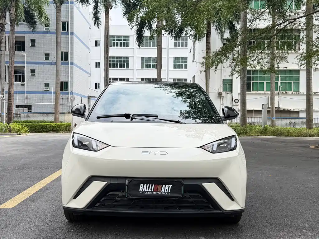 BYD Seagull — миниатюра 7