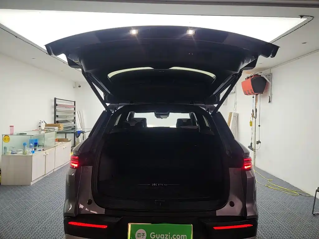 BYD Pro New Energy — миниатюра 19