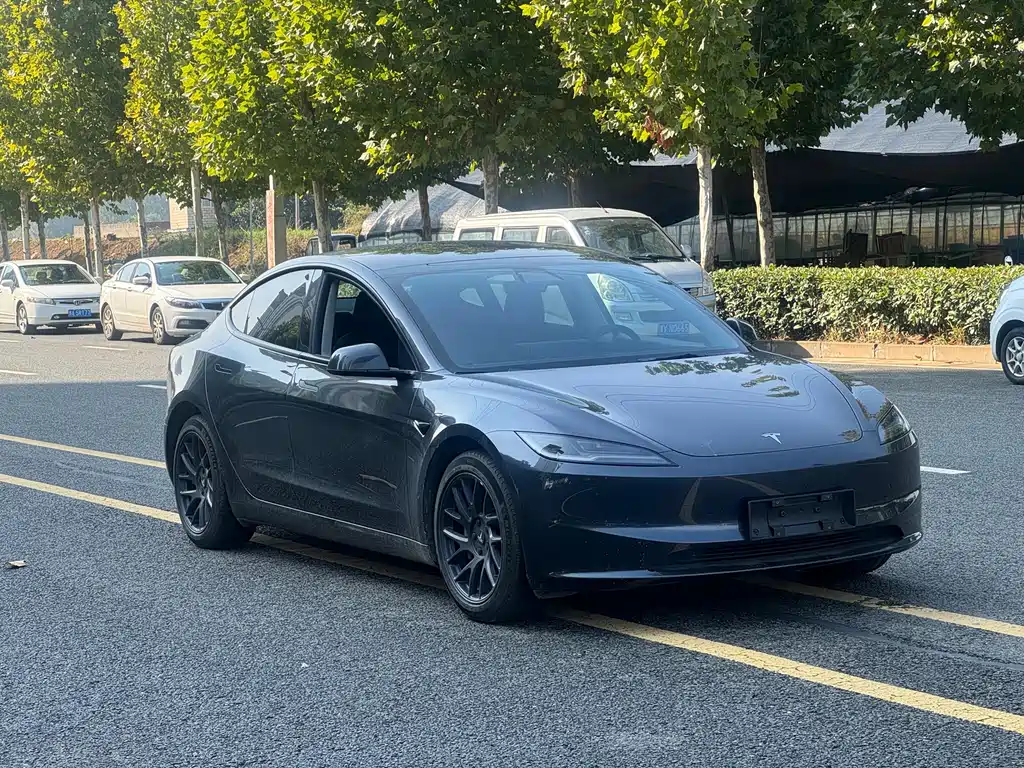 Tesla Model 3 — миниатюра 3