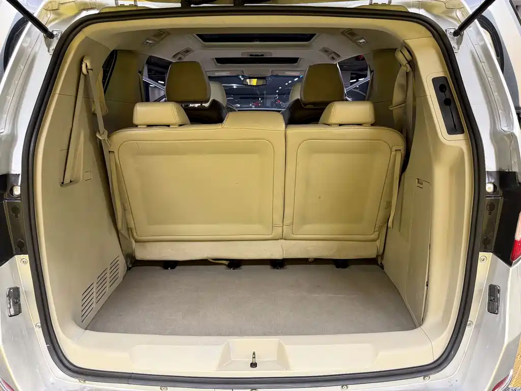 Buick GL8 — миниатюра 41