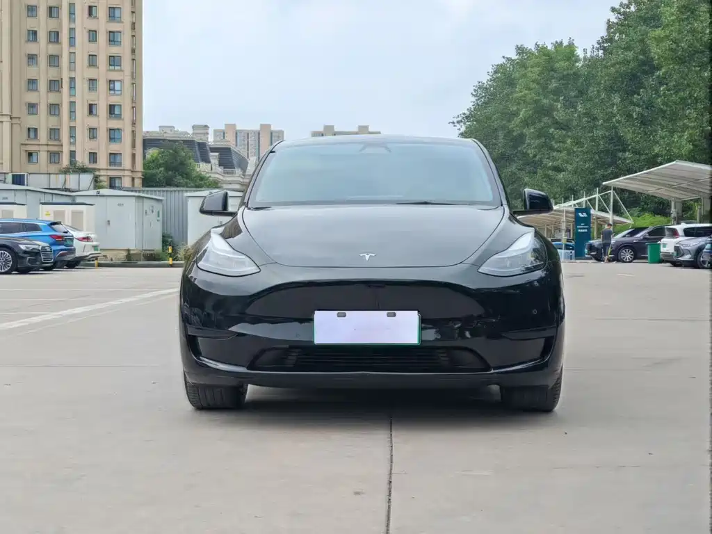 Tesla Model Y — миниатюра 2