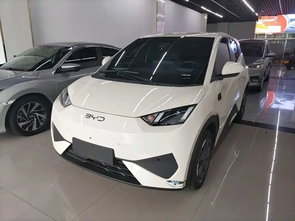 Byd Seagull 2025