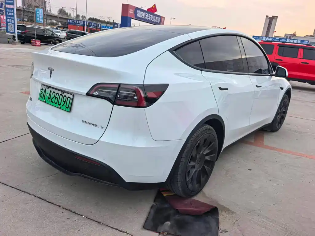 Tesla Model Y — миниатюра 7
