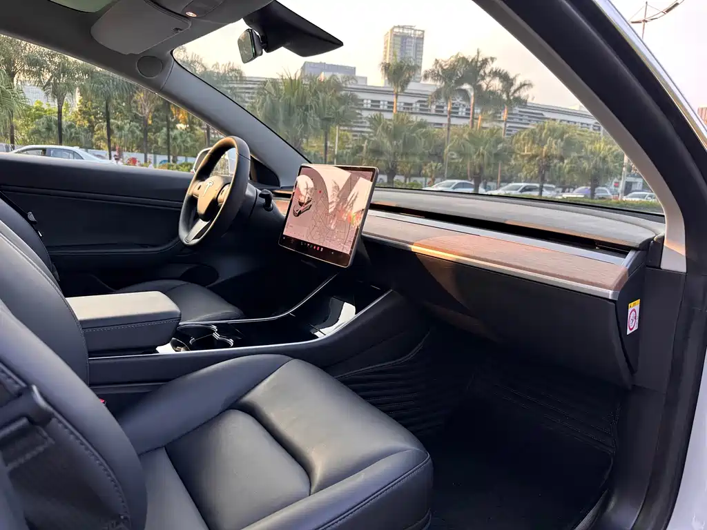 Tesla Model 3 — миниатюра 23