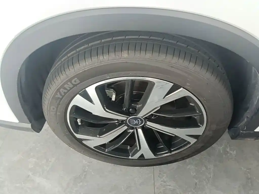 BYD Pro New Energy — миниатюра 23