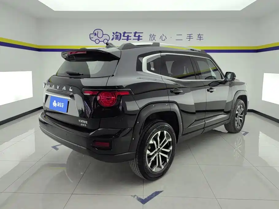 Haval Big Dog PLUS — миниатюра 3