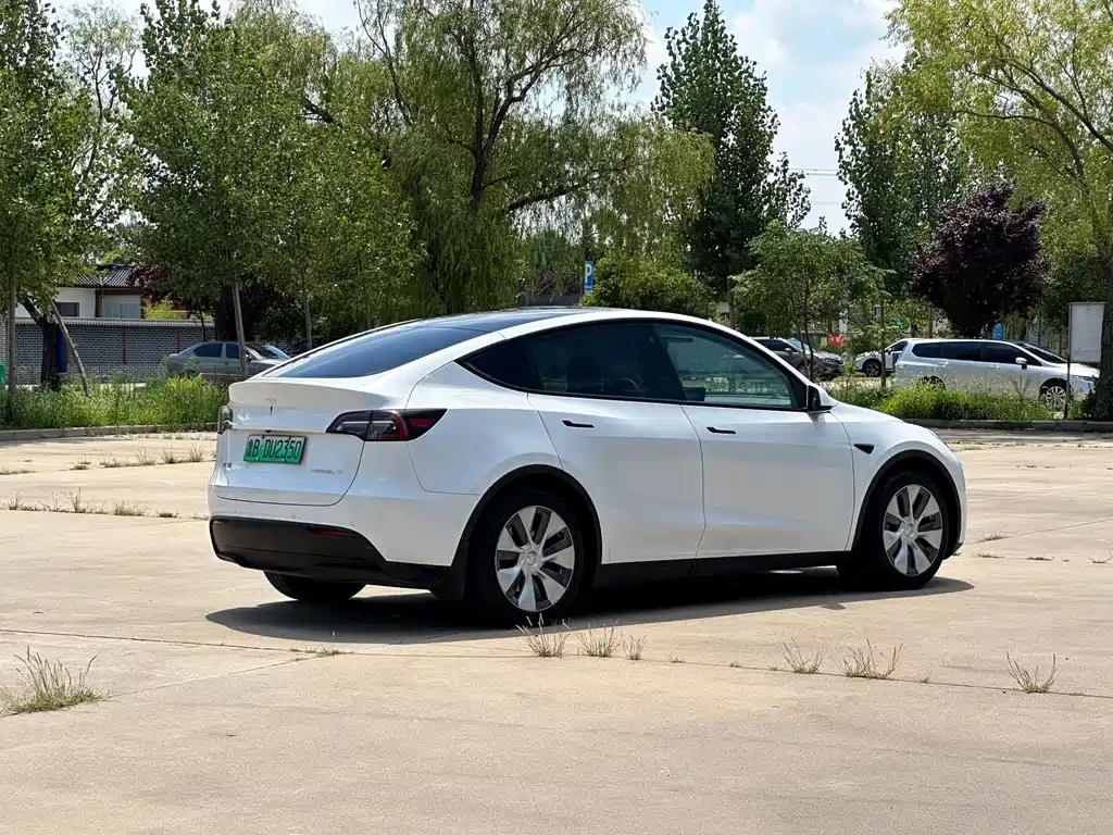 Tesla Model Y — миниатюра 6