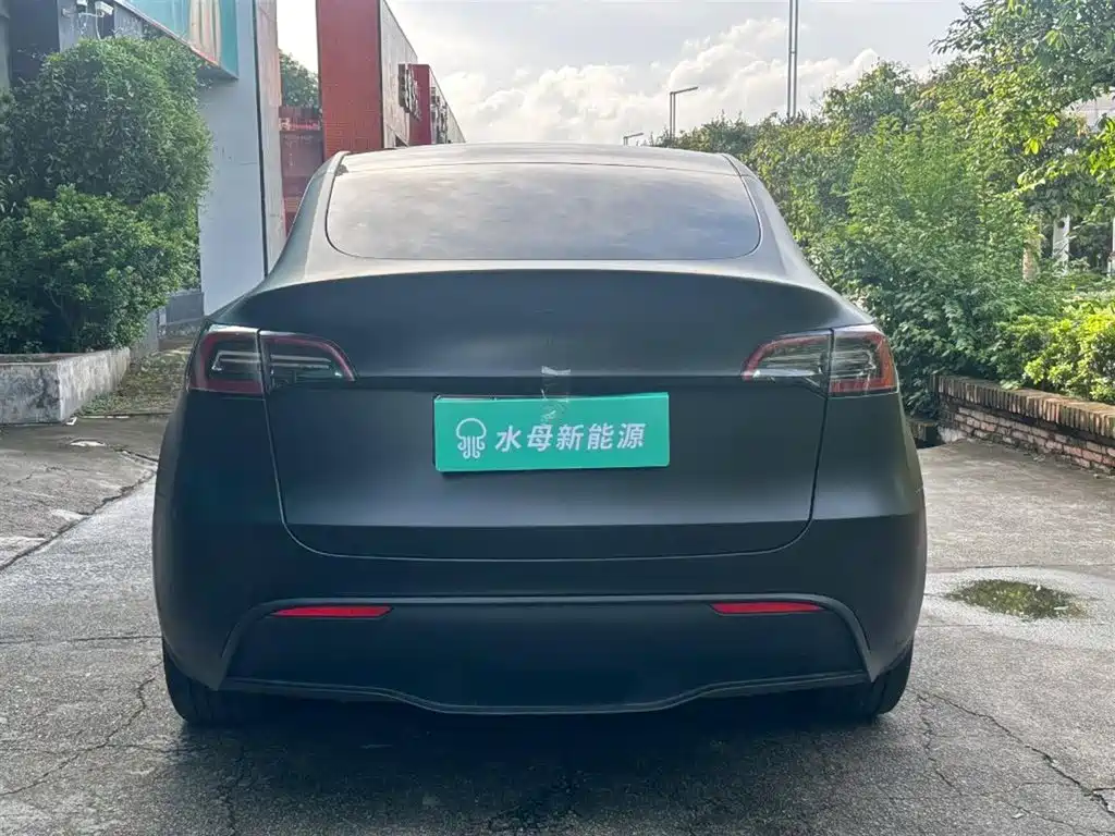 Tesla Model Y — миниатюра 7