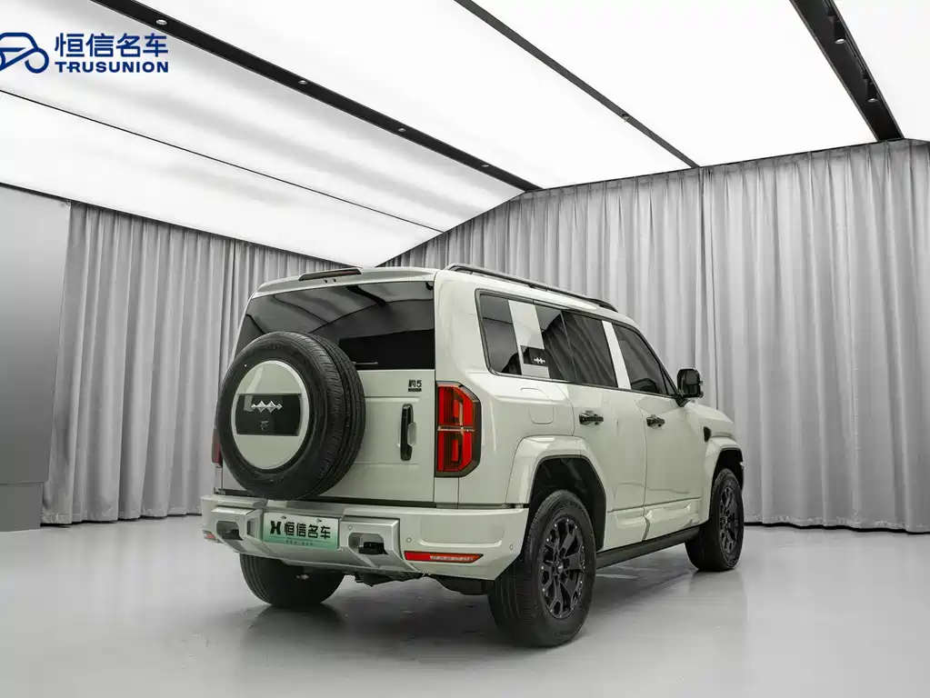 FANG CHENG BAO LEOPARD 5