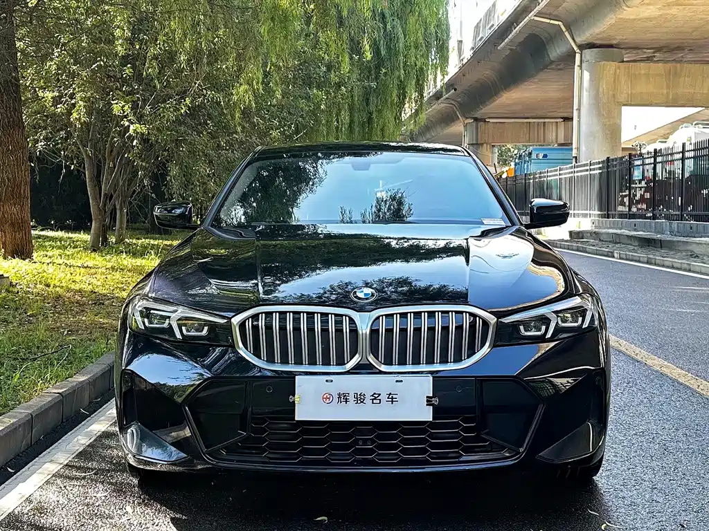 BMW 3 Series — миниатюра 2