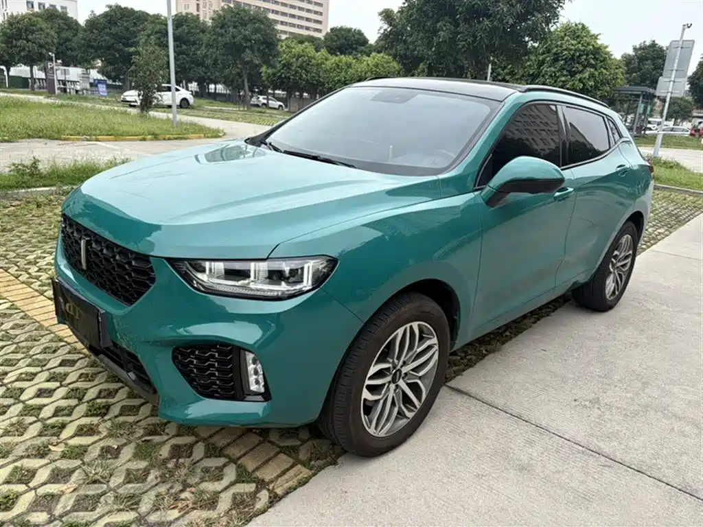 Купить Wey Wey VV5
