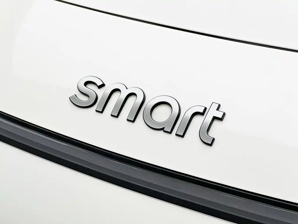 smart Smart #1 — миниатюра 25