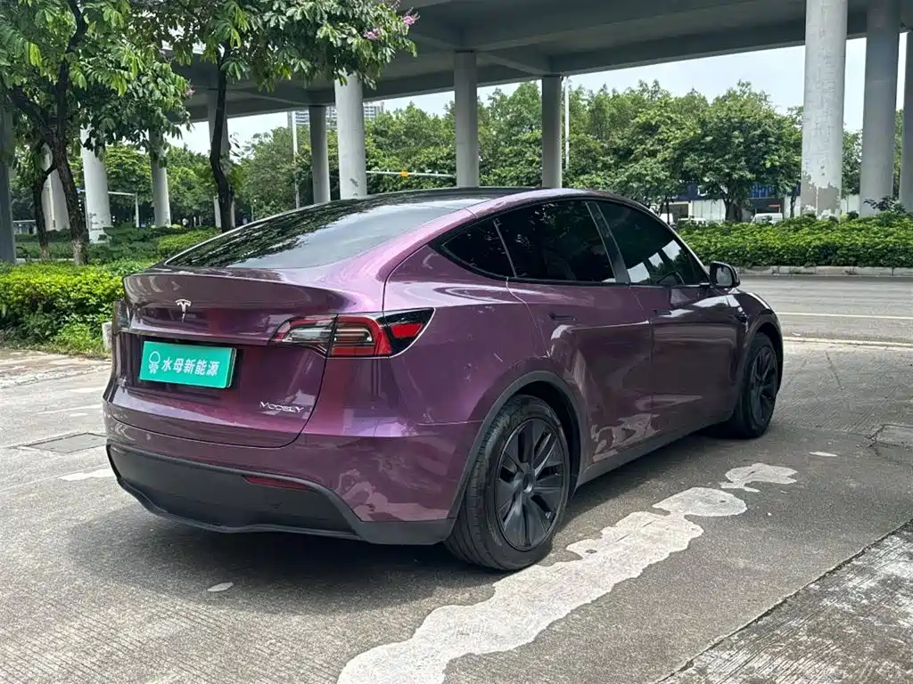 Tesla Model Y — миниатюра 10