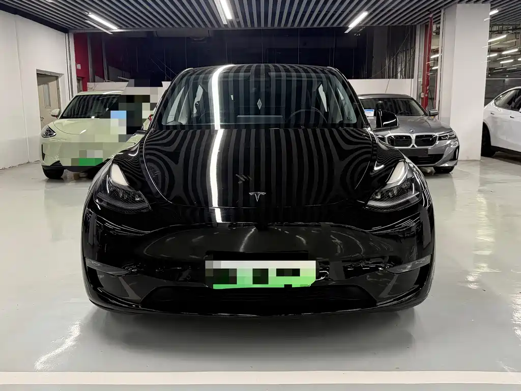 Tesla Model Y — миниатюра 2