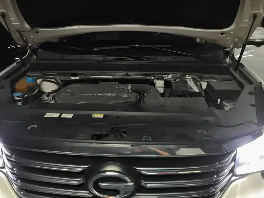 GAC Motor Trumpchi GS8 — миниатюра 10