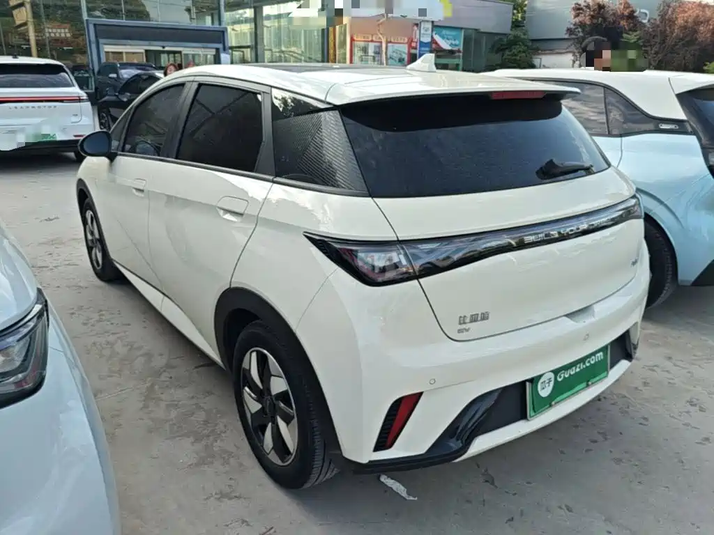 BYD Dolphin — миниатюра 5