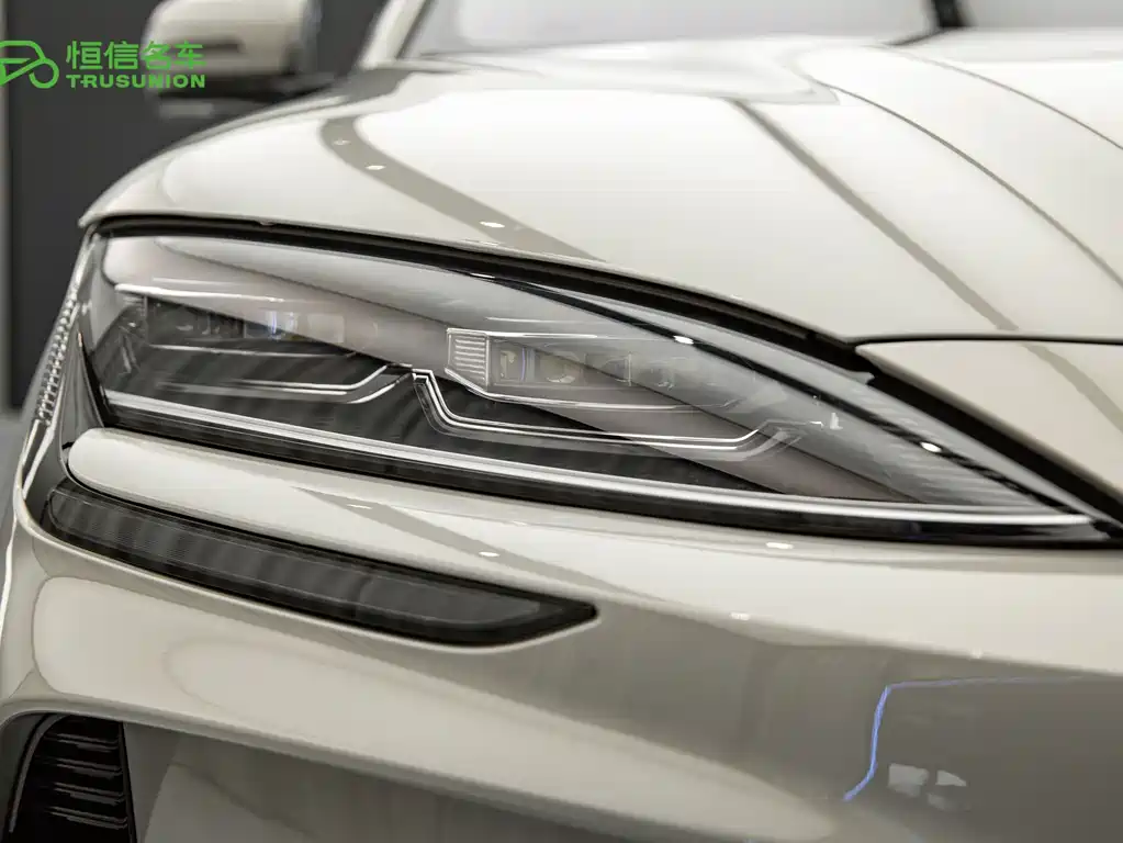 BYD PLUS New Energy — миниатюра 10