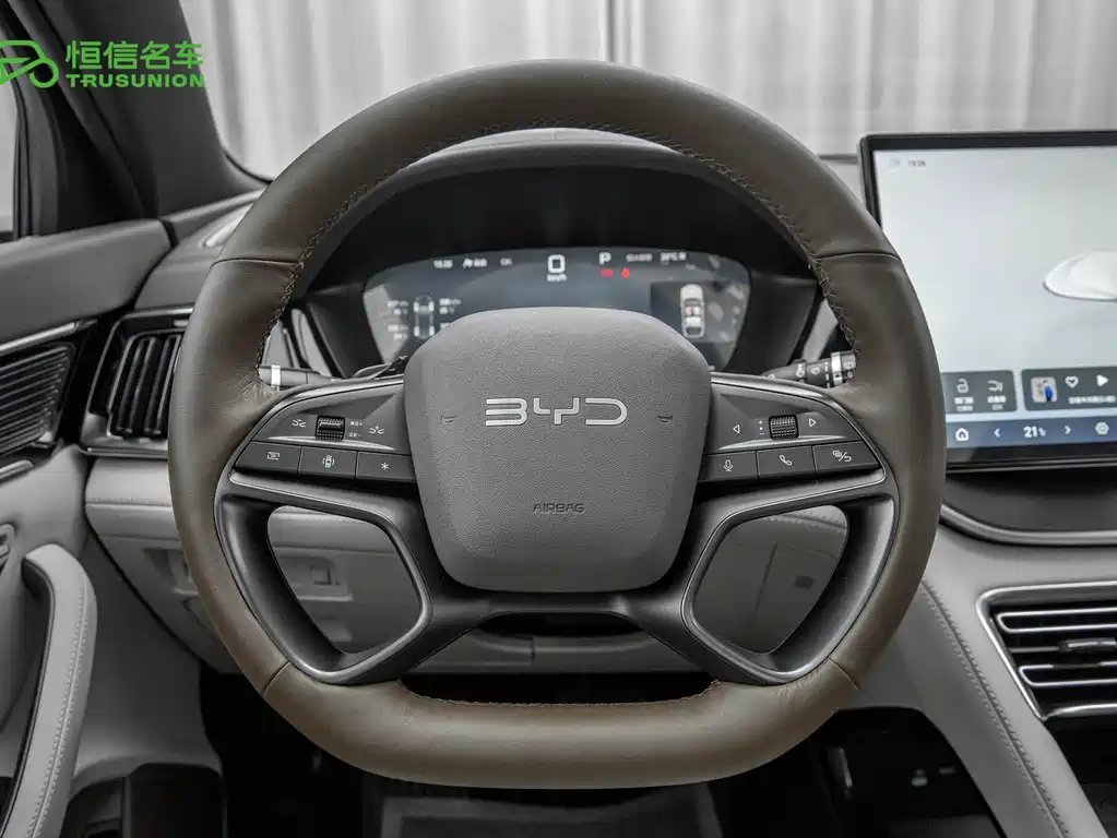 BYD PLUS New Energy — миниатюра 16