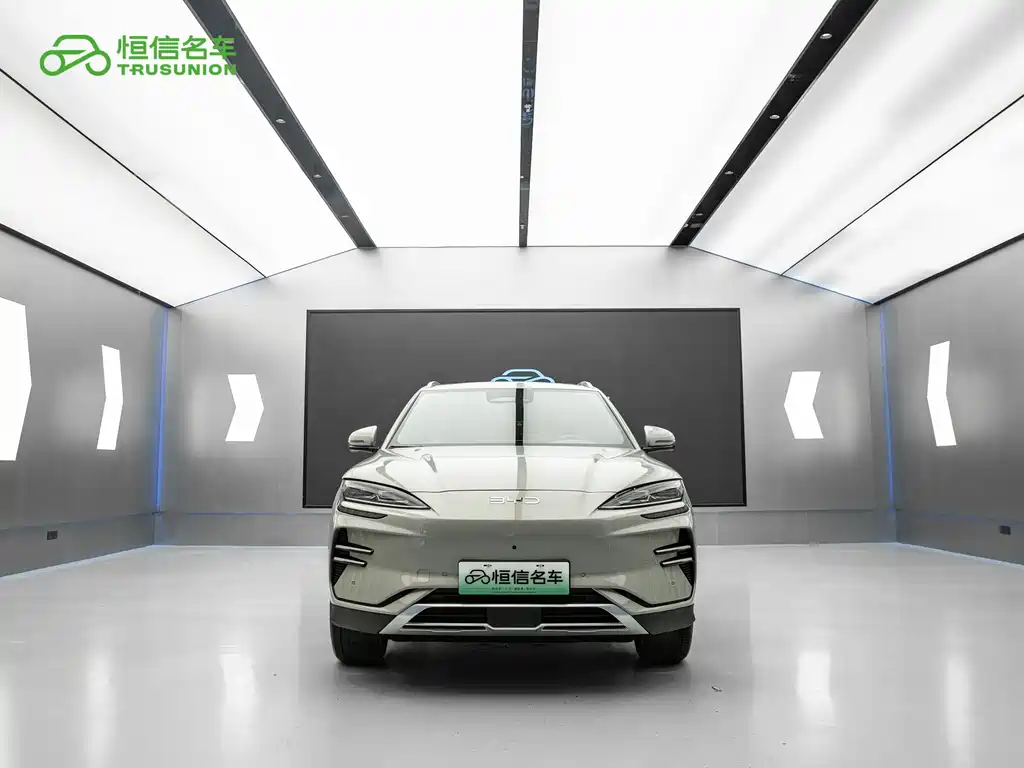 BYD PLUS New Energy — миниатюра 2