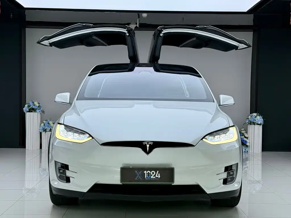 Tesla Model X — миниатюра 2