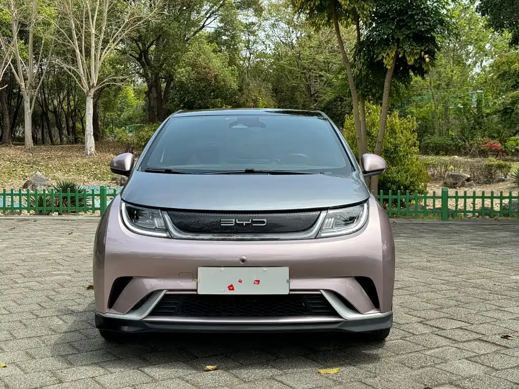 BYD Dolphin — миниатюра 2