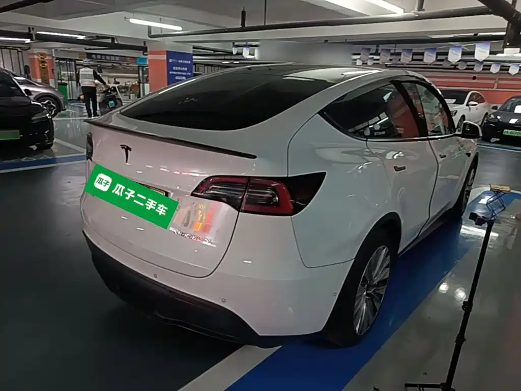 Tesla Model Y — миниатюра 7