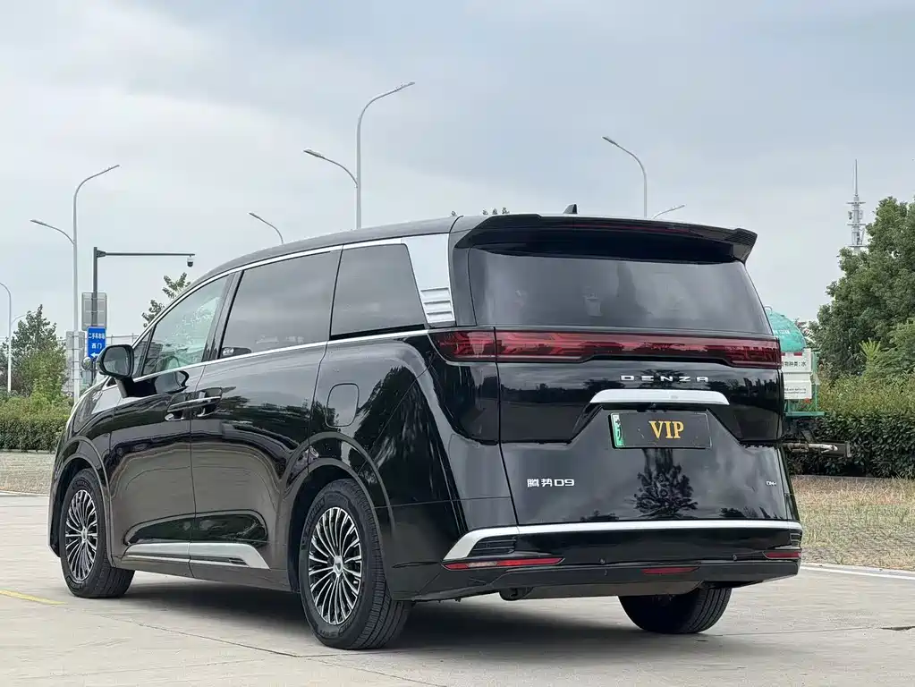 Denza Denza D9 — миниатюра 7