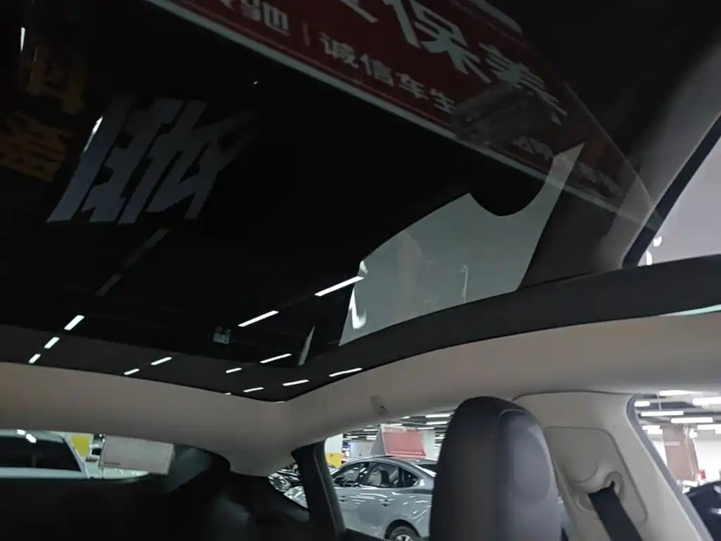 Tesla Model Y — миниатюра 18