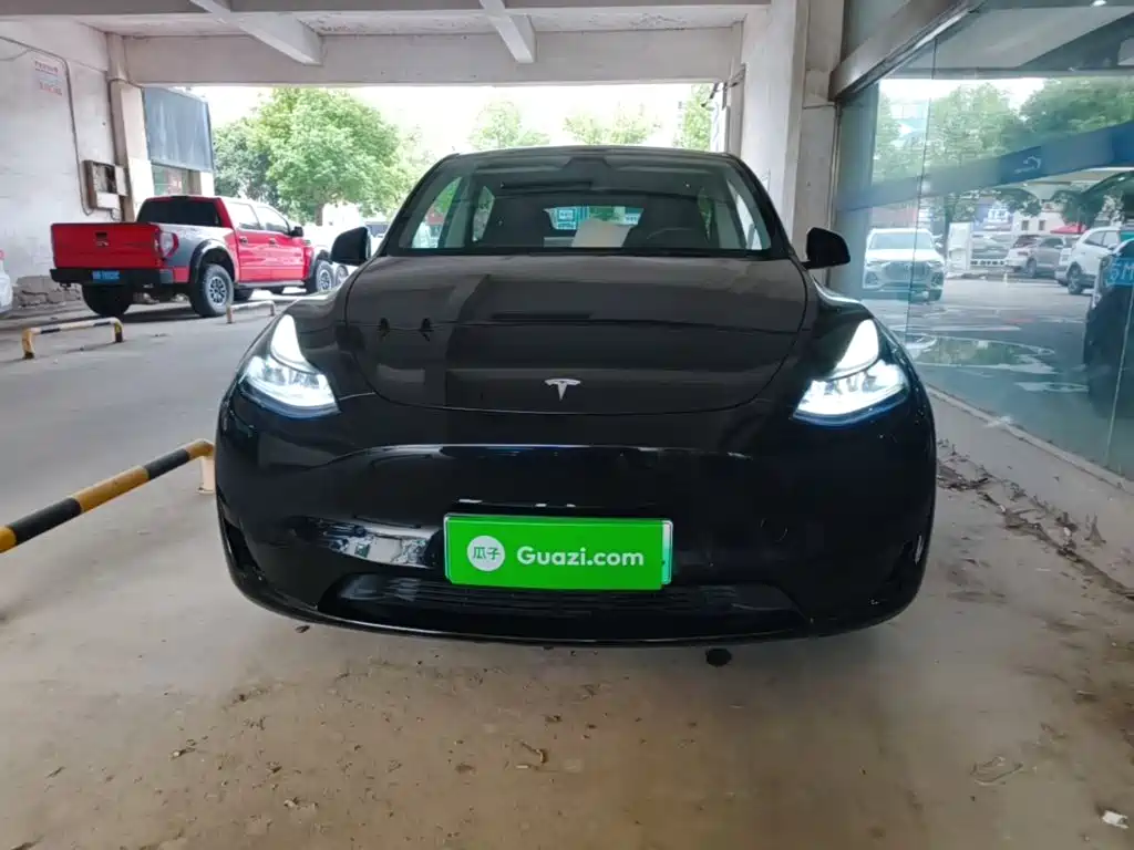 Tesla Model Y — миниатюра 3