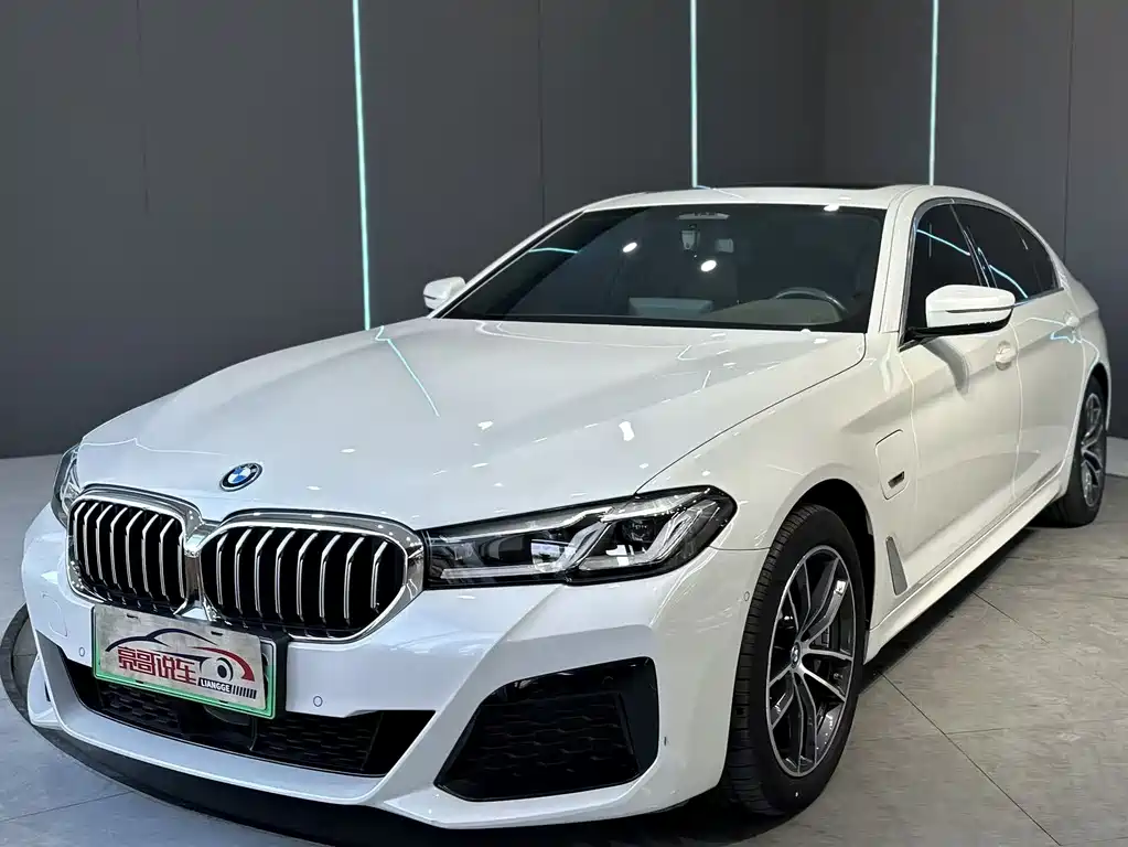 BMW 5 Series New Energy 2022