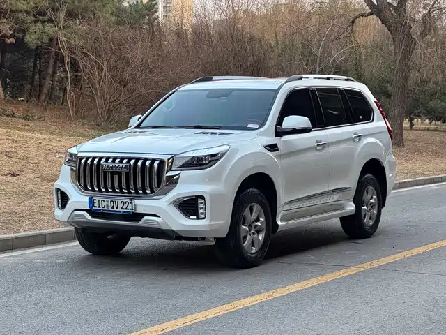 HAVAL H9