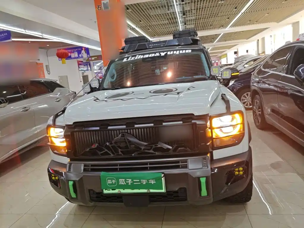 Haval Menglong New Energy — миниатюра 3