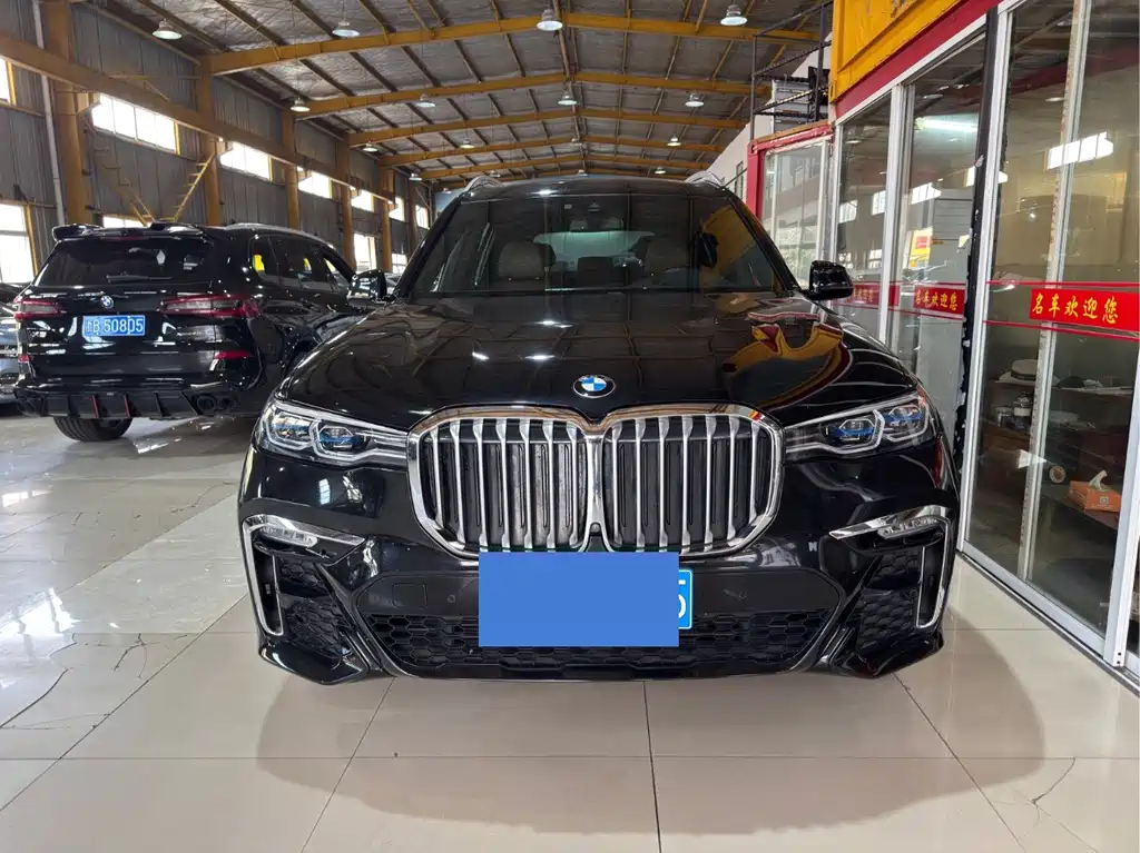 BMW X7 — миниатюра 2