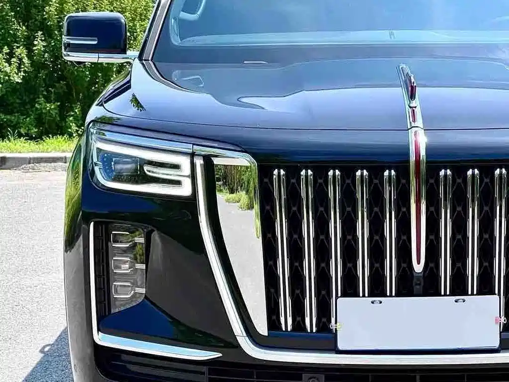 Hongqi Hongqi Golden Sunflower Guoyao — миниатюра 2