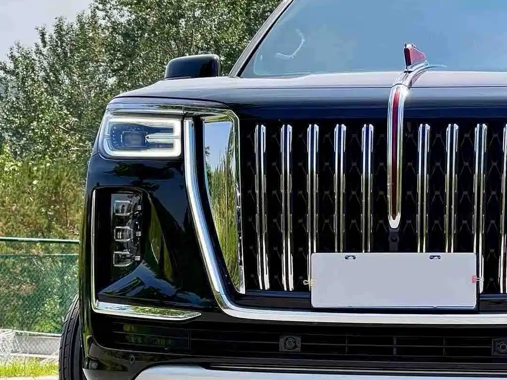 Hongqi Hongqi Golden Sunflower Guoyao — миниатюра 9
