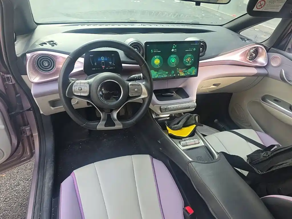BYD Dolphin — миниатюра 10
