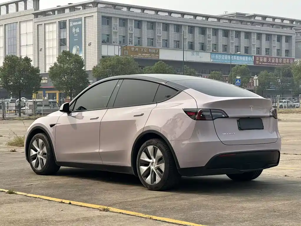 Tesla Model Y — миниатюра 4