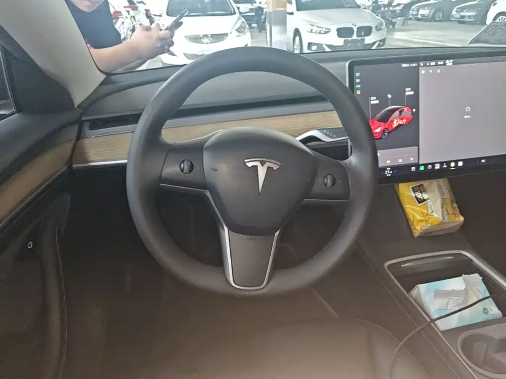 Tesla Model 3 — миниатюра 11