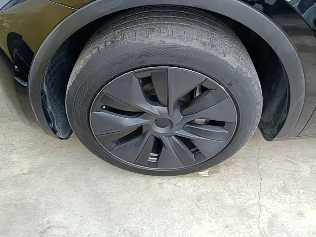 Tesla Model Y — миниатюра 23