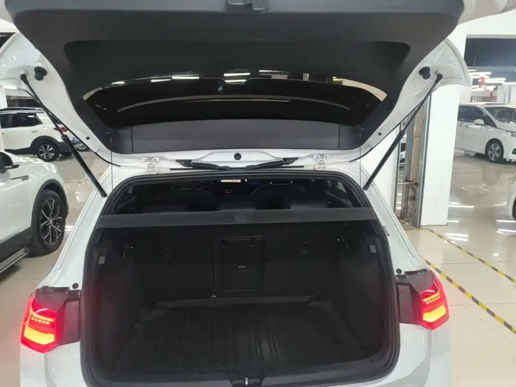 Volkswagen Golf — миниатюра 19
