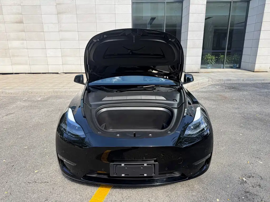 Tesla Model Y — миниатюра 15