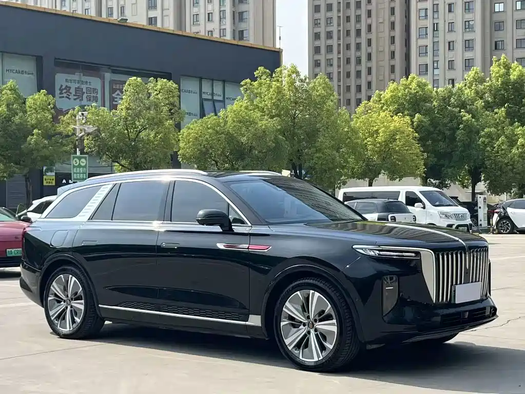 Hongqi Hongqi E-HS9 — миниатюра 3