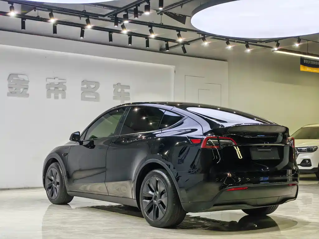 Tesla Model Y — миниатюра 15