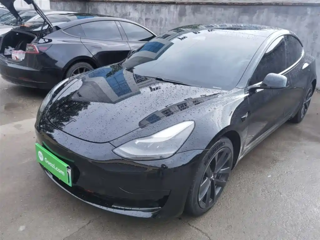 Tesla Model 3 2021
