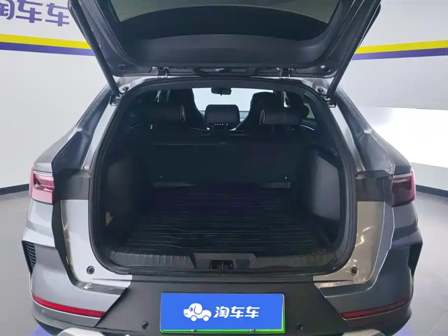 BYD SONGJIANG NEW ENERGY