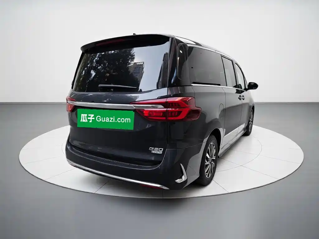 MAXUS G20 — миниатюра 4