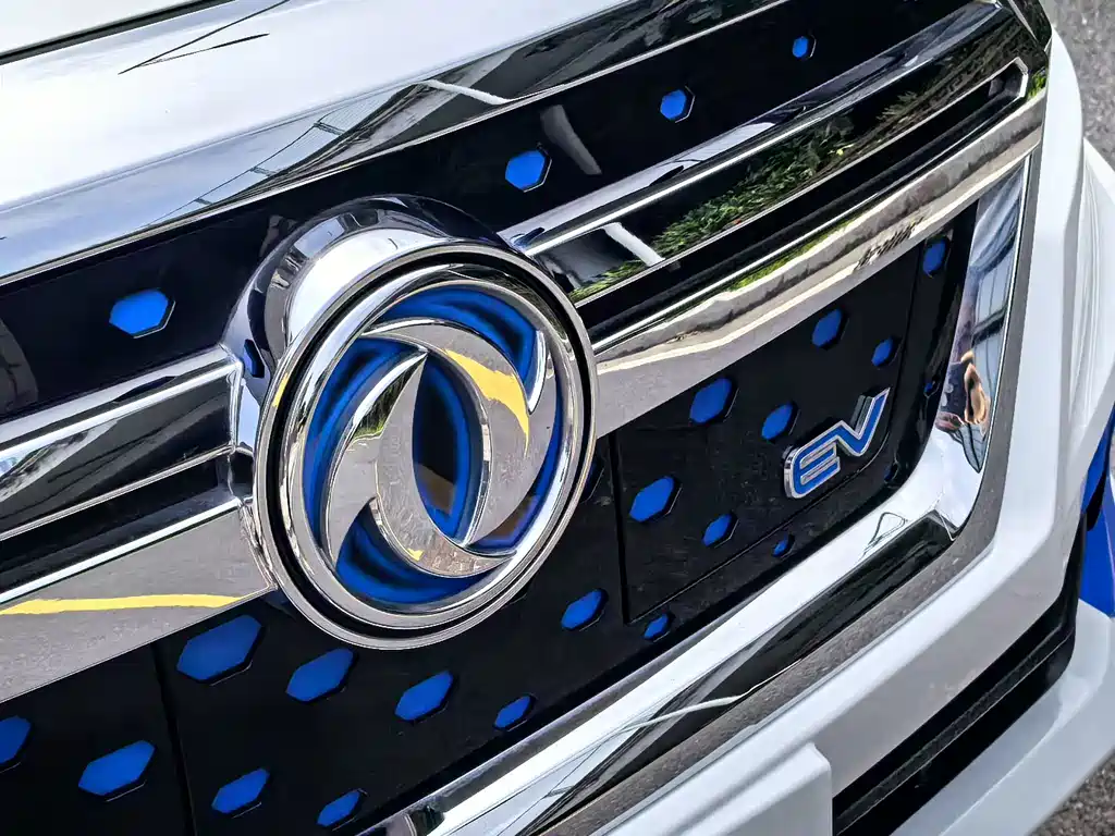 Dongfeng Rich 6 New Energy — миниатюра 9