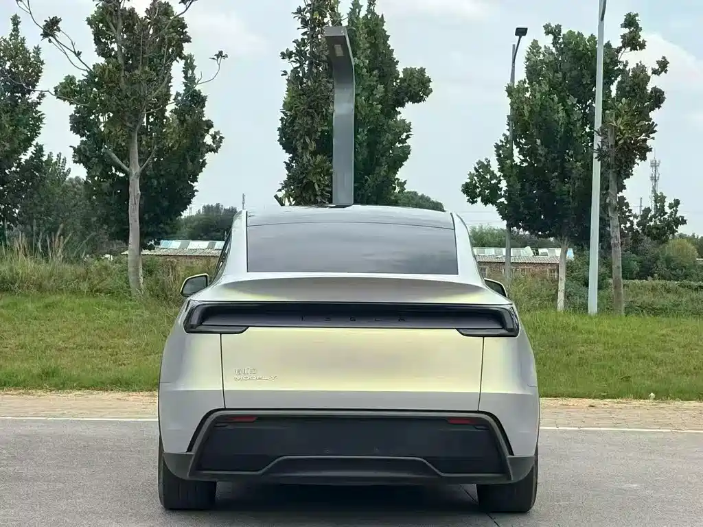 Tesla Model Y — миниатюра 8