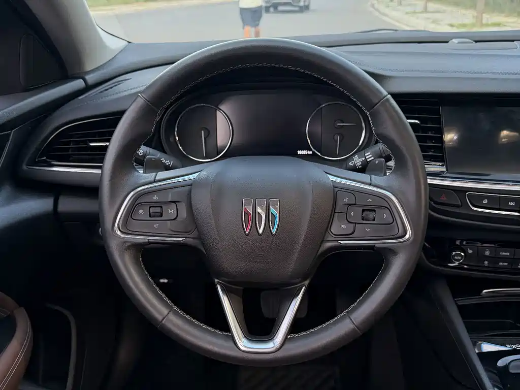 Buick Regal — миниатюра 8